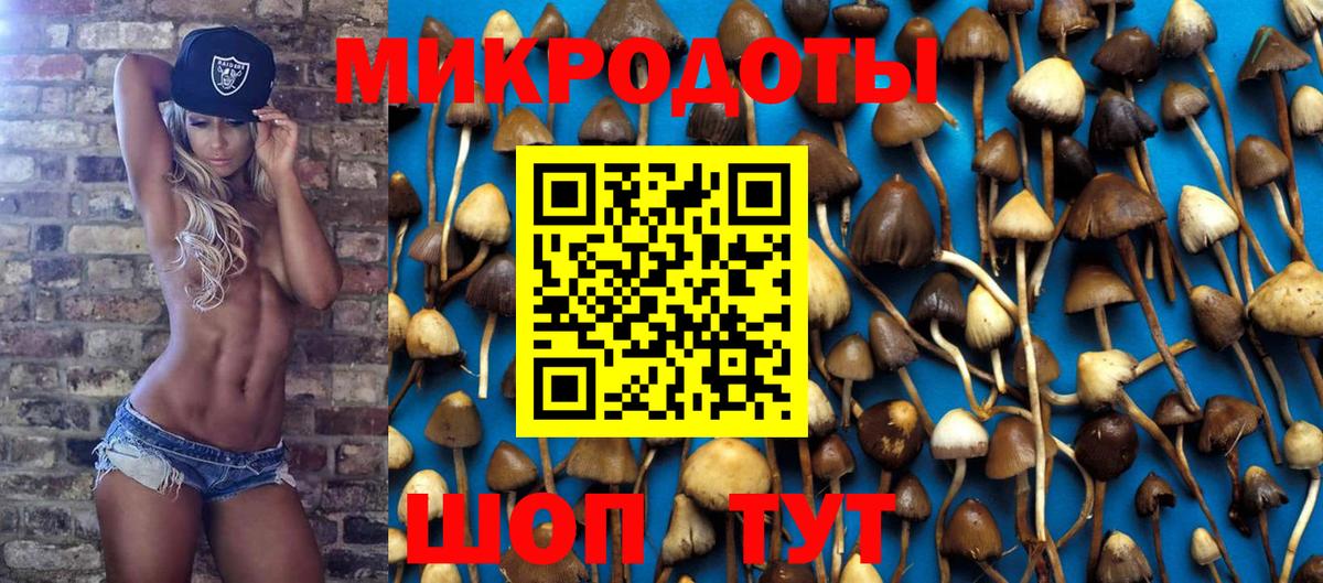 Галлюциногенные грибы мухоморы  Галлюциногенные грибы мицелий  Вход с VPN  Верхняя Салда 